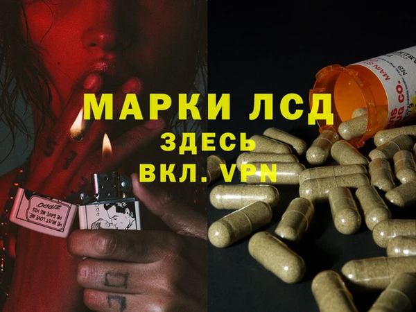 МДПВ Козловка