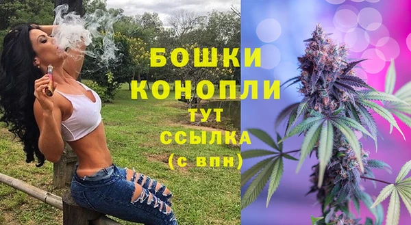 первитин Козельск