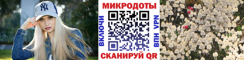 Псилоцибиновые грибы прущие грибы Гусев