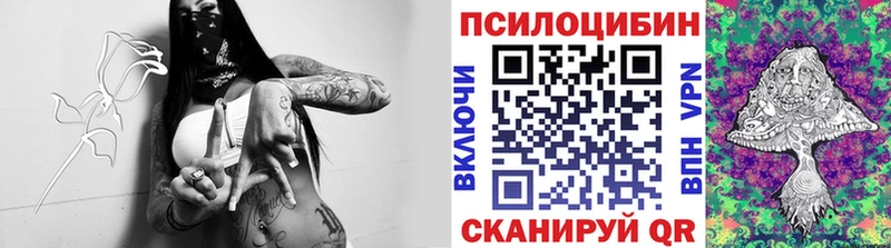 Купить где  Гусев  Галлюциногенные грибы мицелий 